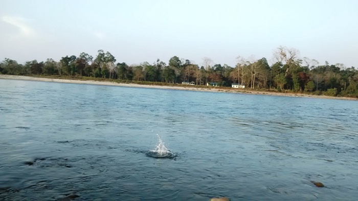 Nameri River Bhalukpong